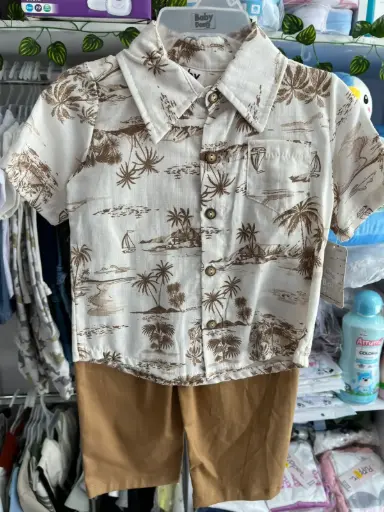 Conjunto palmeras niño