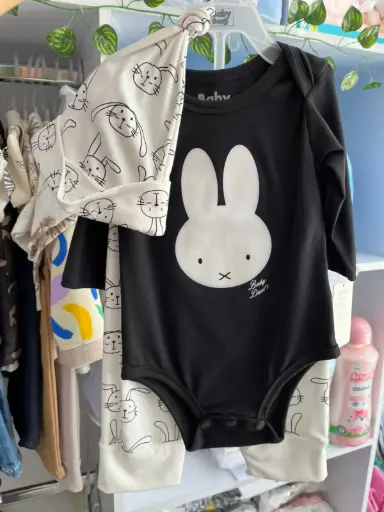 Conjunto bebé conejo, erizo 